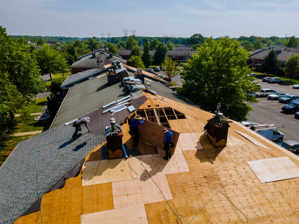 Best Commercial Roofing Services  in St Hedwig, TX