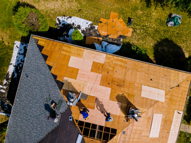 Best Roof Maintenance Services  in St Hedwig, TX