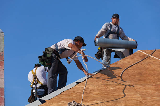 Best Roof Waterproofing Services  in St Hedwig, TX